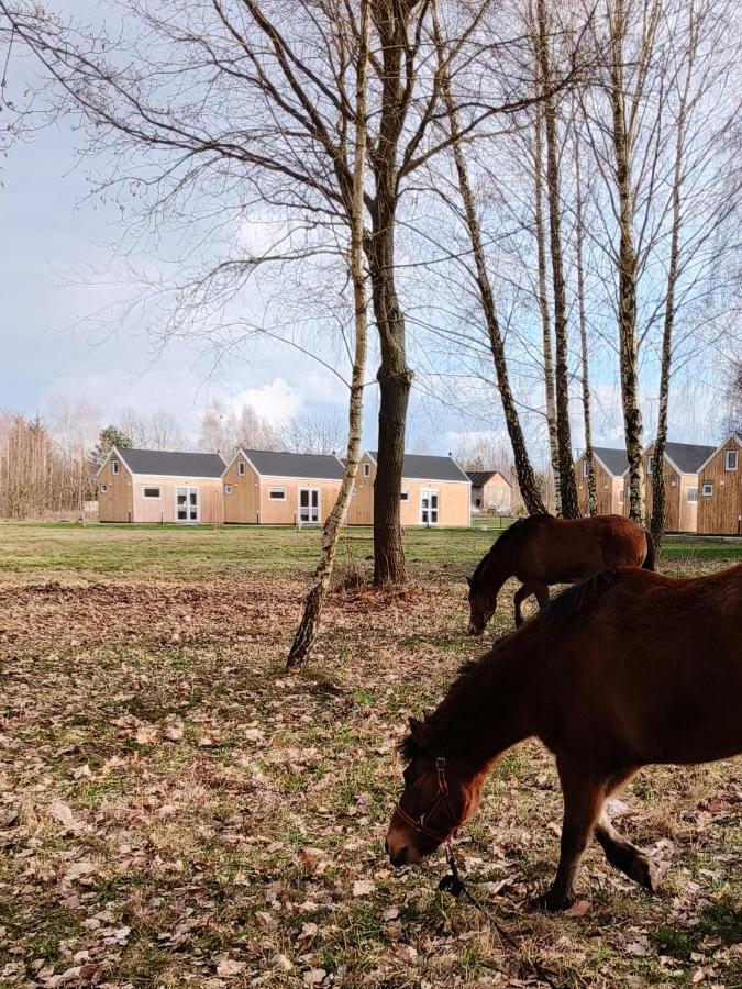 Zagajnik Country Camp Obok Suntago Vila Grabce-Towarzystwo Exterior foto
